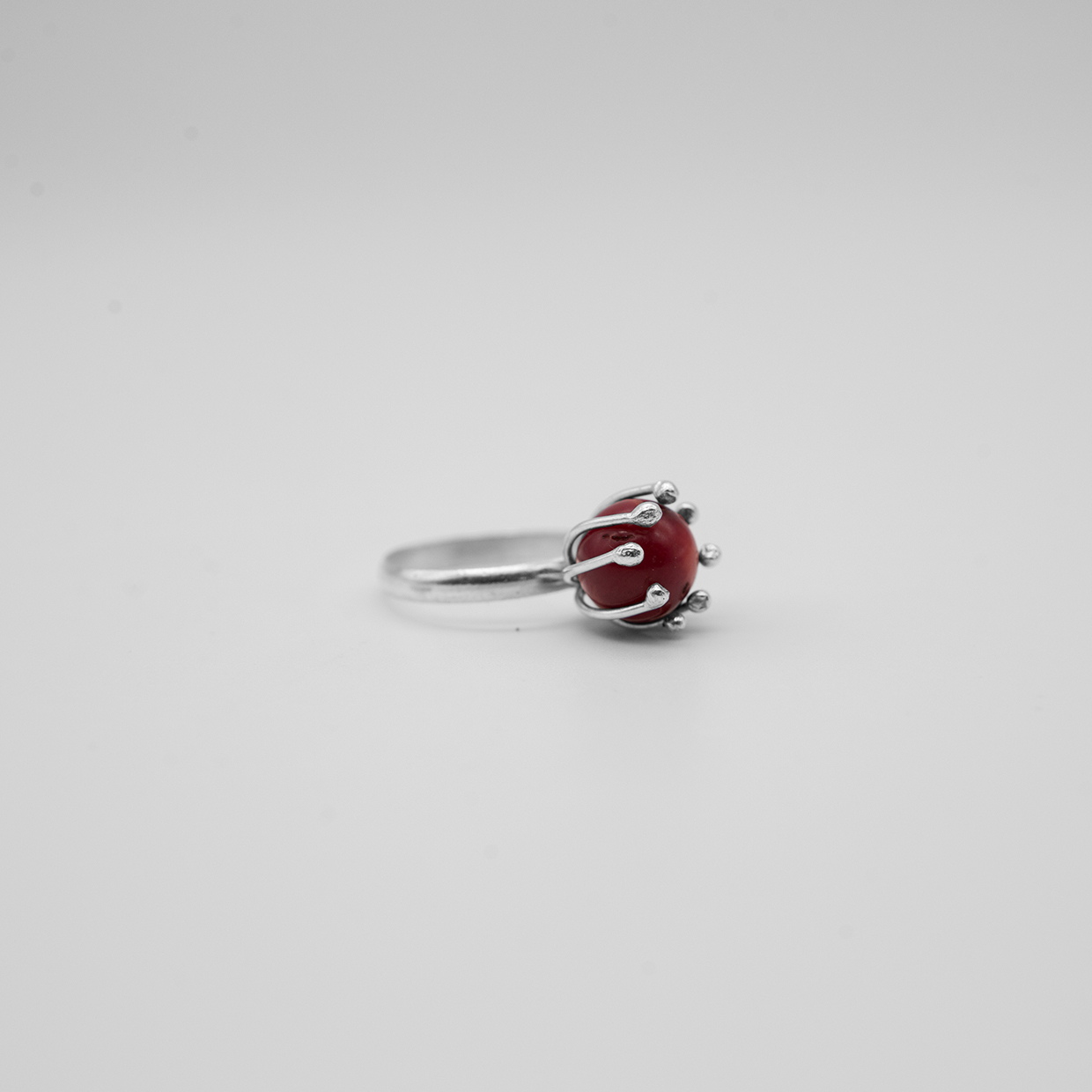 Anillo Fruto